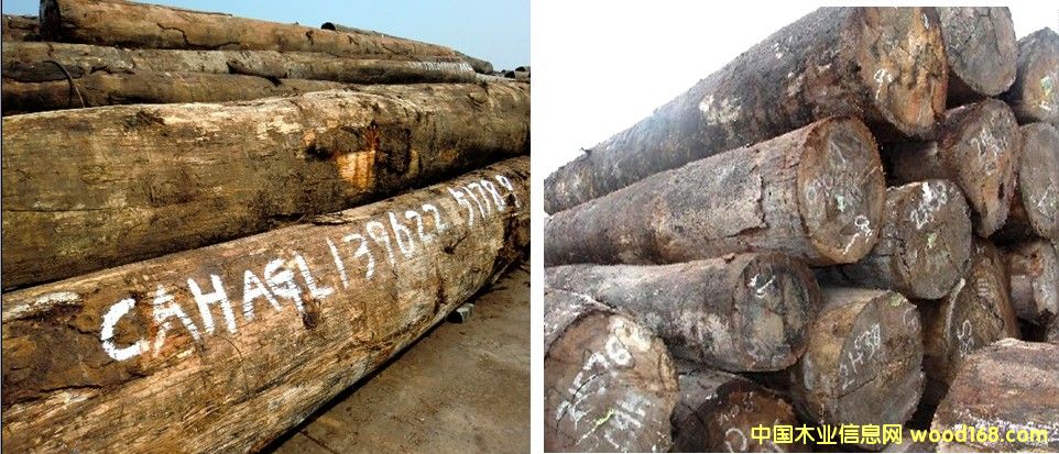 �����m ������Ԕ����B