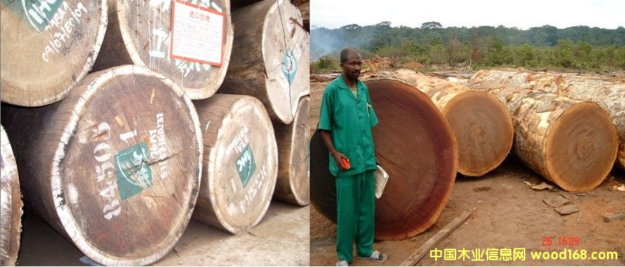 �G��ɣɳ������Ԕ����B