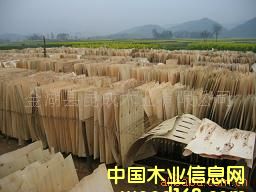 ��ľ�ΰ��Ԕ����B