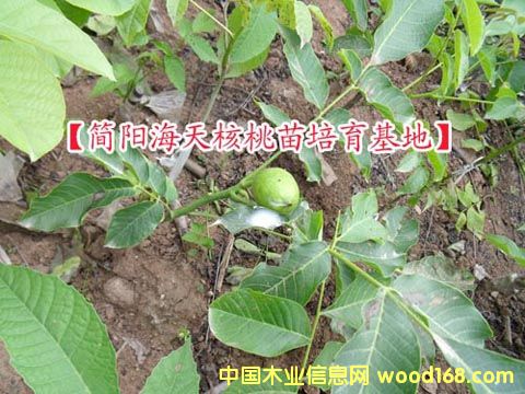 2010���＾������-����Aӆ��