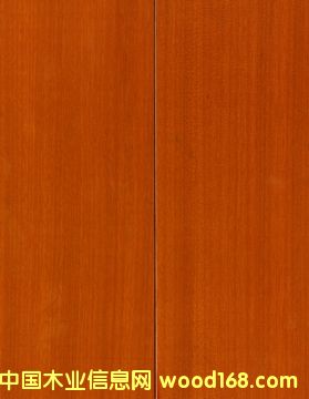 �{ɫ�l������������|�S�|�� 