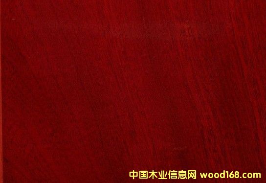 �{ɫ�l������������|���޼t̴,�gӭӆُ 