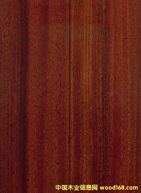 �{ɫ�l������������|��̴�ذ�