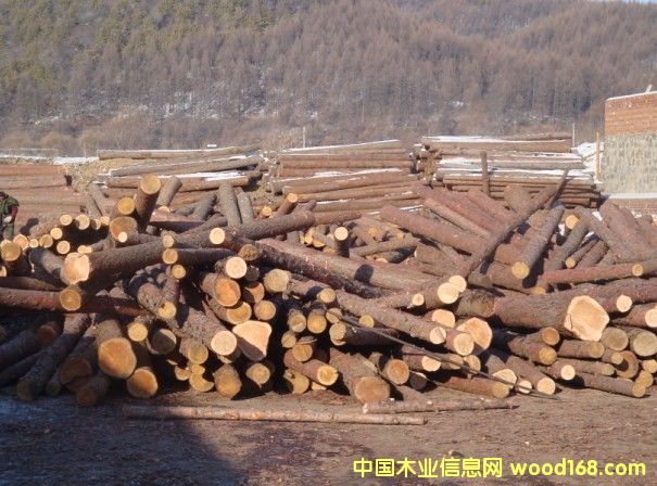 �c(di��n)���鿴ԭľ�ȷŴ�DƬ