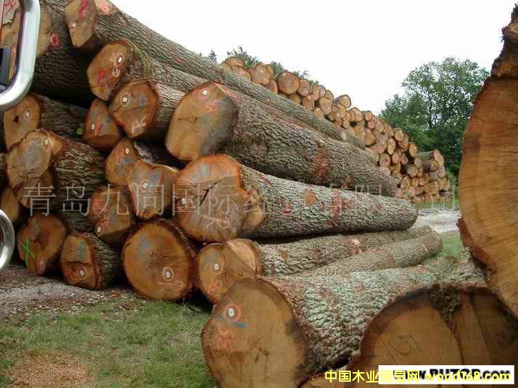 �c(di��n)���鿴ԭľ�ȷŴ�DƬ