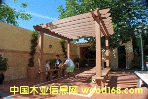 ��ľ����