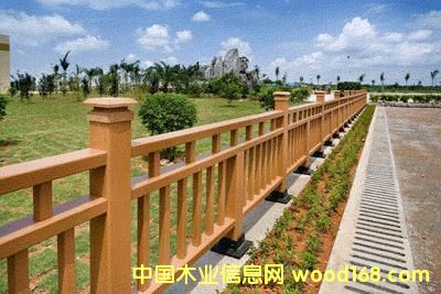 ��ľ�ڗU��Ԕ����B