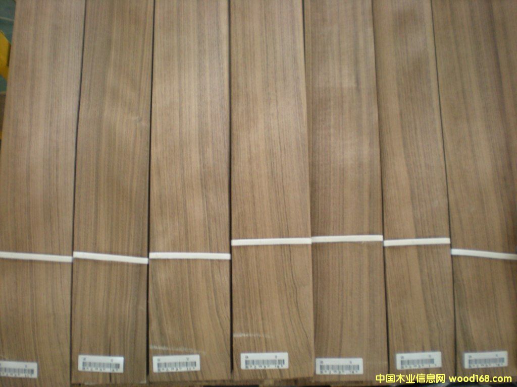 �ں���ľƤ��ֱ�y����Ԕ����B