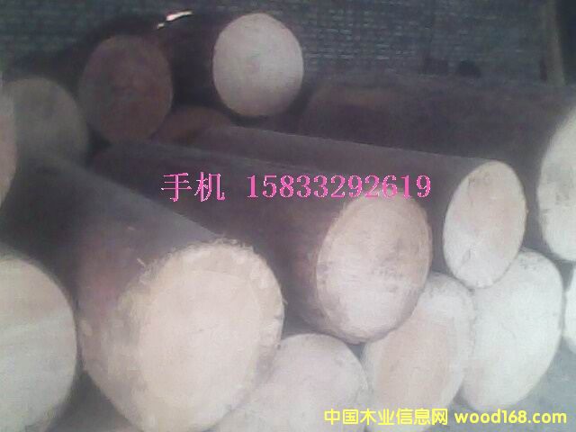 ������ľ�^