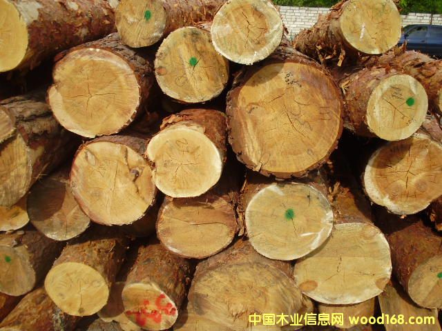 �����ɵ�Ԕ����B