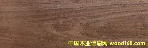 �ں��ҵ�Ԕ����B