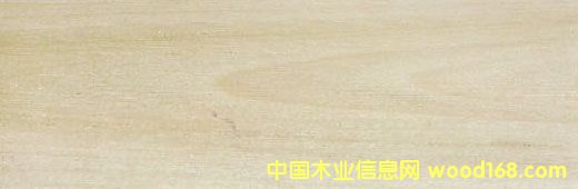 �S��DƬ��Ԕ����B