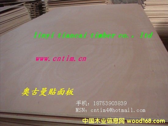 �W������׶��Ӱ�2