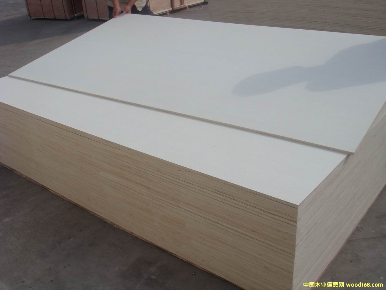 ���_(t��i)�z�ϰ�