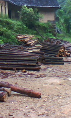 ɼľ����Ԕ��(x��)��B