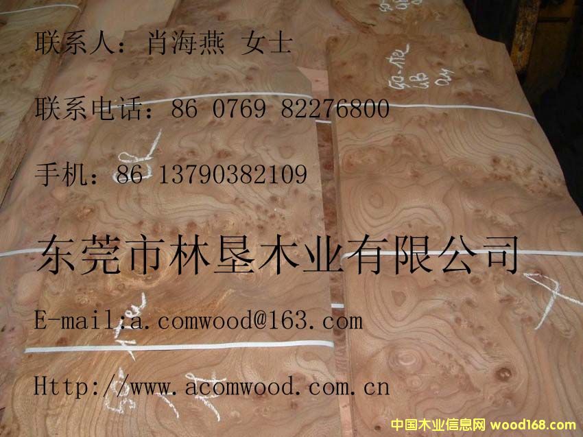 ��ľ�����Ԕ��(x��)��B