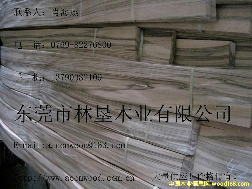 ɳ������3