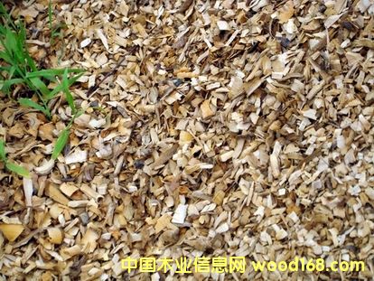 ʳ�þ�ľм��Ԕ����B