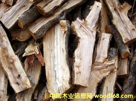 ��ľ���Ԕ����B