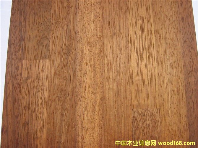 ���_��Merbau��Ԕ��(x��)��B