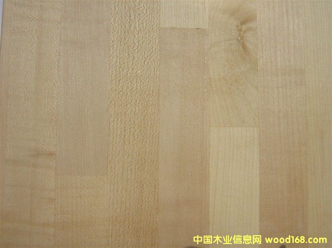 ��ľMaple��Eur.����Ԕ��(x��)��B