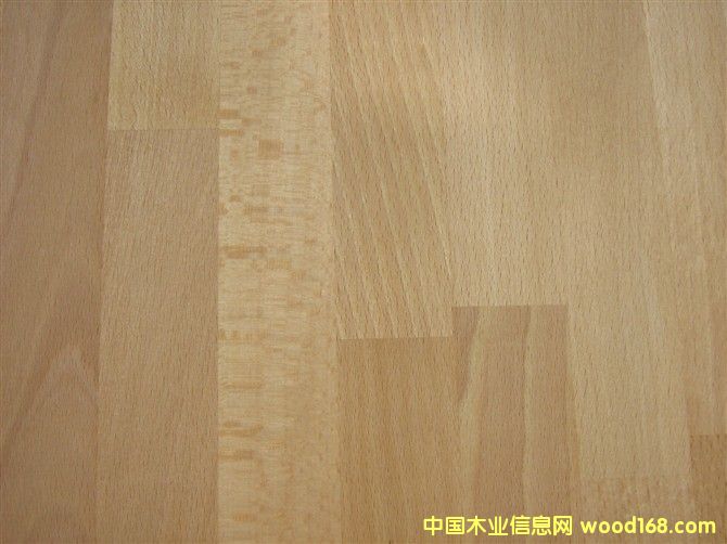 ��ľB����Beech character��Ԕ��(x��)��B