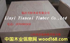 9mmɽ����Ƥ�������z�ϰ��Ԕ����B