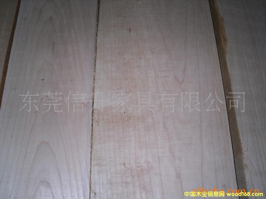 ̫ƽ���ľ8/4 PC MAPLE 50mm��Ԕ����B