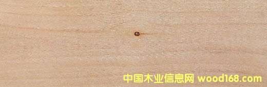 ���P Red Ald��Ԕ����B