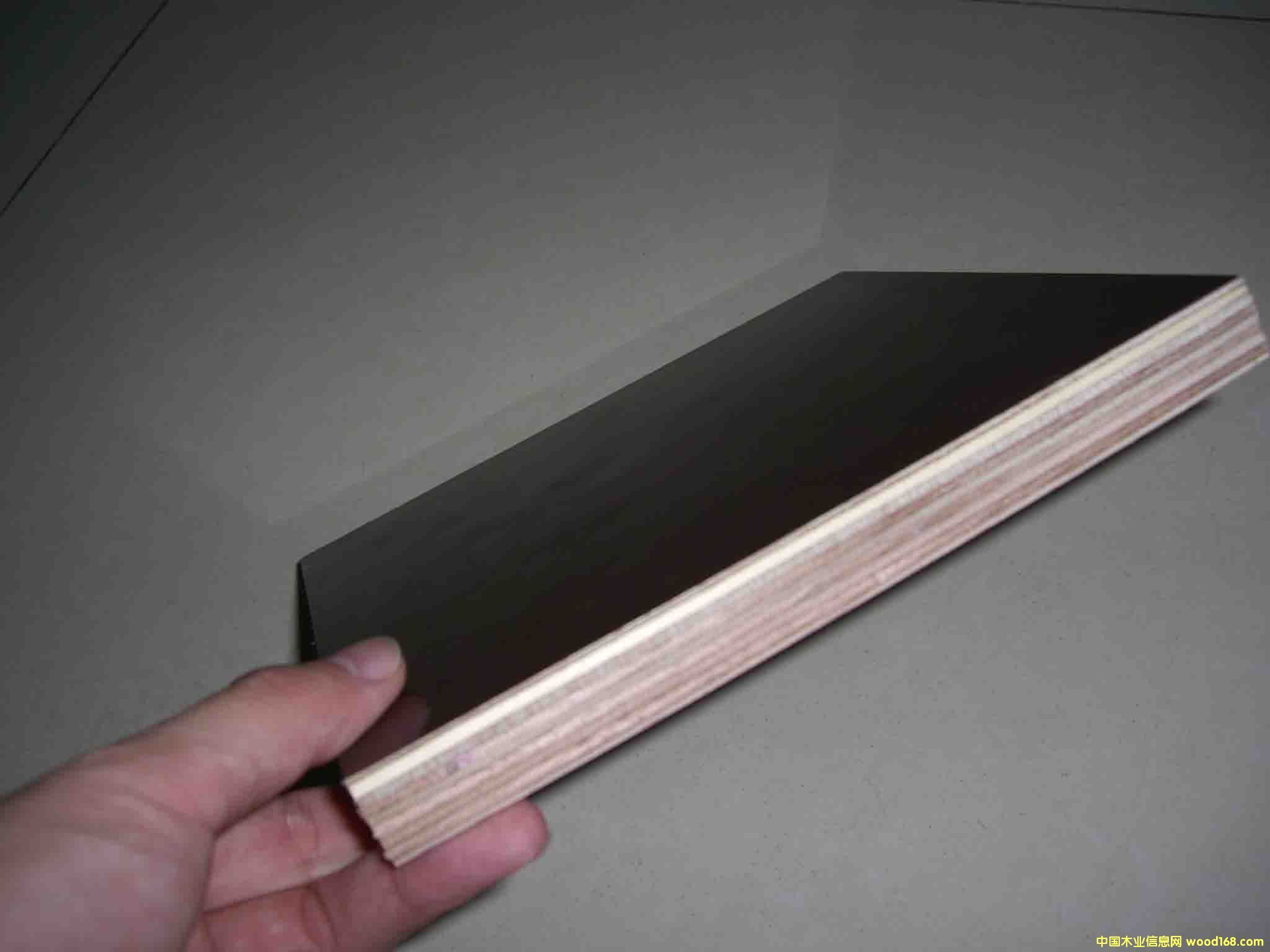 ����һ�γ���ģ��