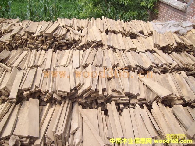 �c���鿴��ľ��Ŵ�DƬ