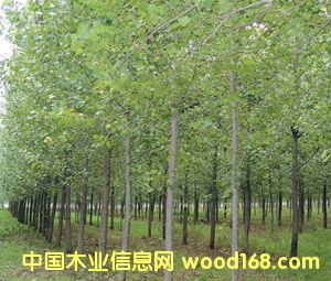 �c���鿴vvvvv�Ŵ�DƬ