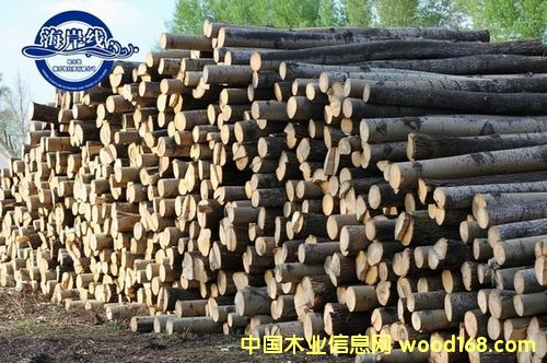 �c���鿴aaaa�Ŵ�DƬ