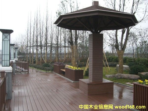 ��ľ��ľ�ܣ���ͤ���^ͤ