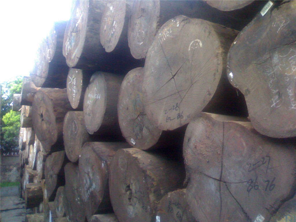 ������Ԕ����B