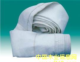 ����������Ԕ����B