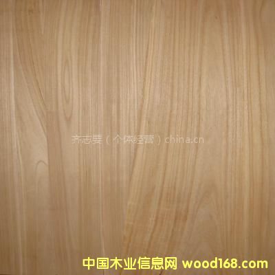 ͩľƴ���Ԕ����B