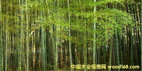 ԭ���Ԕ����B