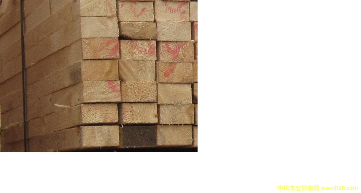 �Fɼ����ɼ��Ԕ����B