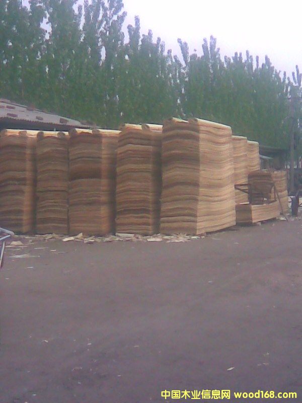 �ΰ��Ԕ����B