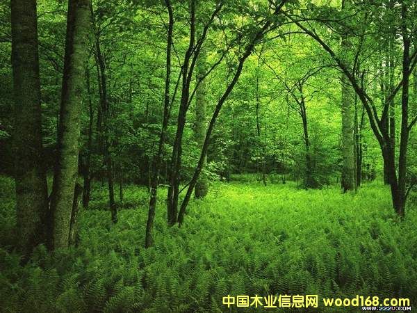 �G����Ԕ����B