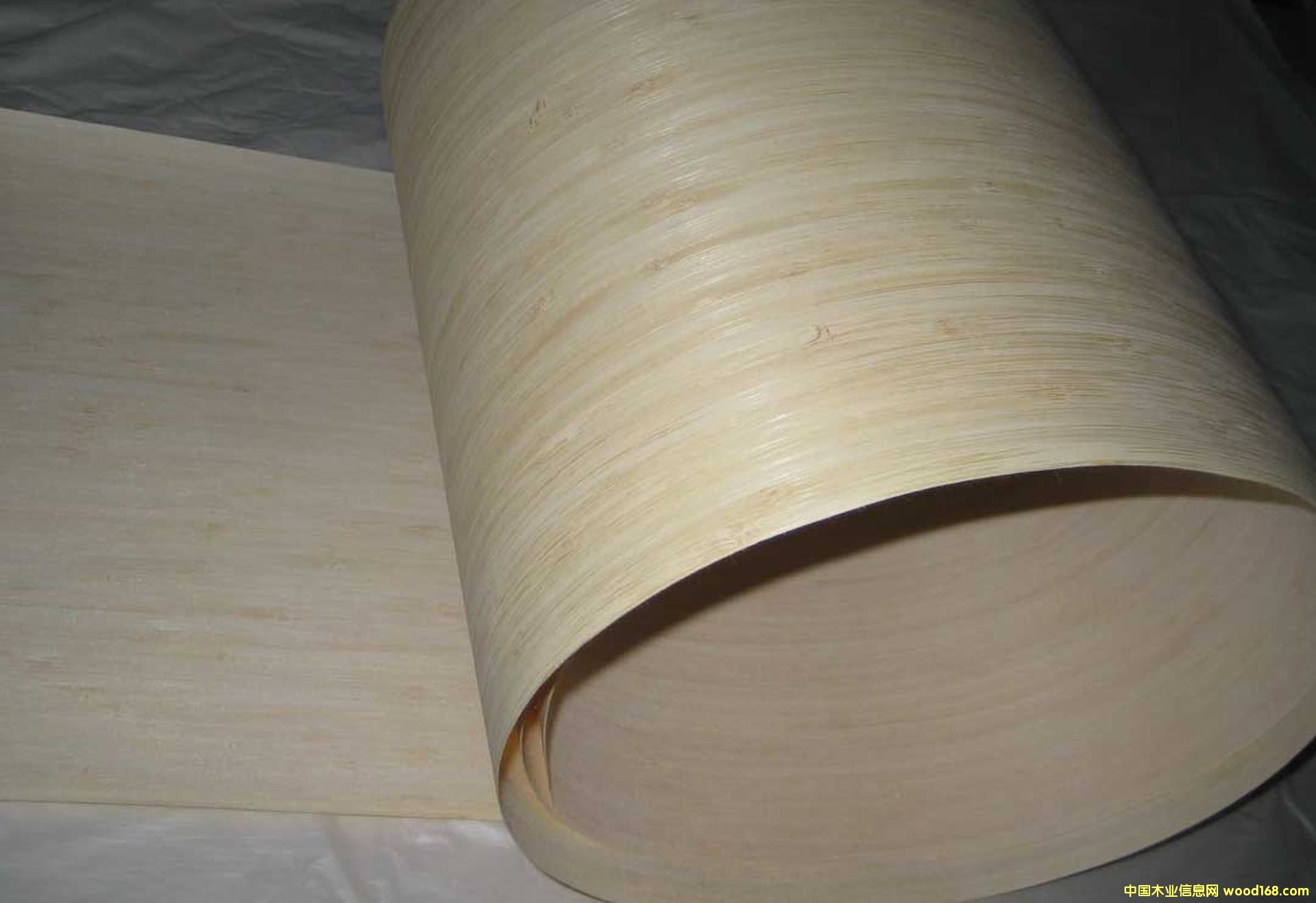 ������Ƭ �N����� ���NƤ��� �NƤ����Ԕ��(x��)��B