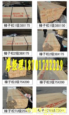 �����ɵ�Ԕ����B