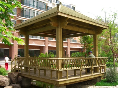 ����ľ��Ԕ����B