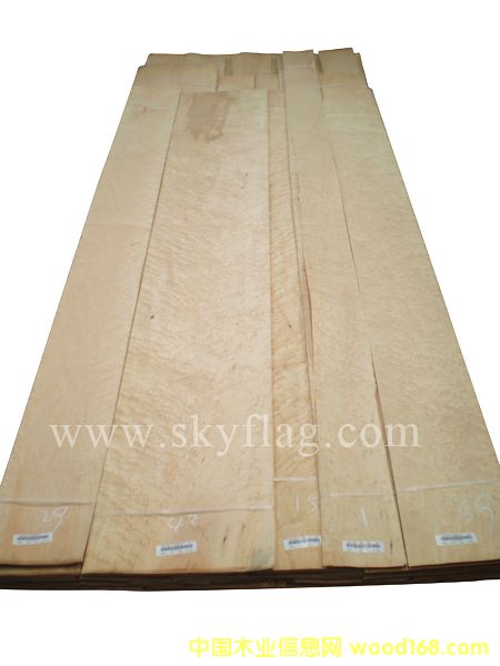 ����ľƤ--0.3��ľȸ��AM001