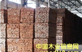 �W�ޙ�ľ����ľ��ĵ�Ԕ����B