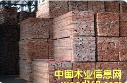 �W�ޙ�ľ����ľ����Ԕ����B