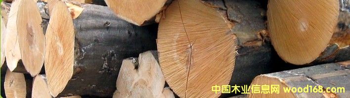 �W�ޙ�ľ����ľԭľ��Ԕ����B