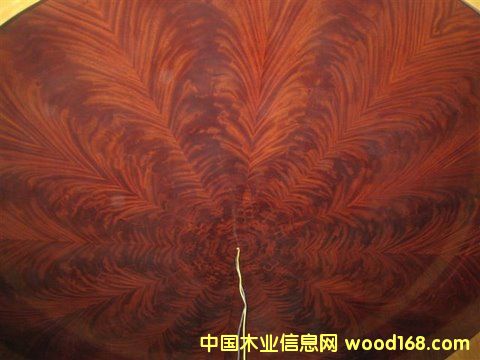 �һ��Ę�棬��棬�Ź��һ���ľƤ