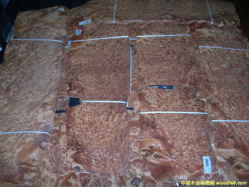 �����(sh��)����THUYA BURL